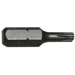 #009-000T20 – T20 Torx Insert Bit, 1″